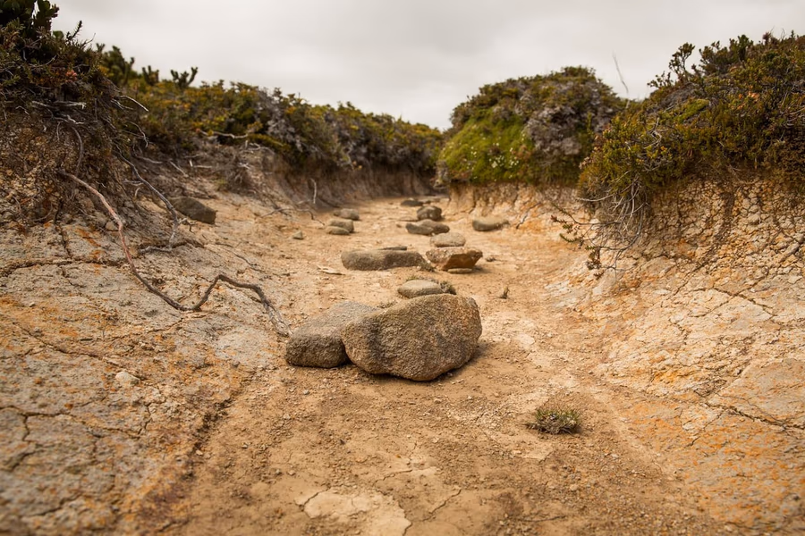 An eroded channel cut through thin soil down to rock, with drying cracks visible in the exposed clay surface